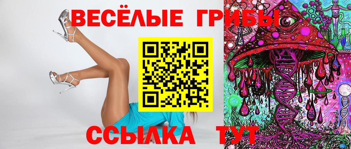 Подольск  Псилоцибиновые грибы Magic Shrooms  Вход с VPN 